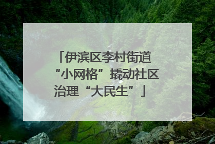 伊滨区李村街道 “小网格”撬动社区治理“大民生”