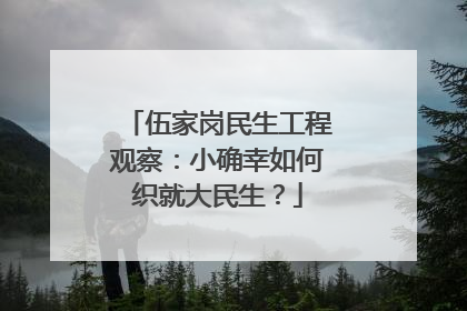 伍家岗民生工程观察：小确幸如何织就大民生？
