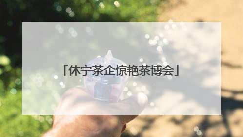 休宁茶企惊艳茶博会