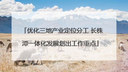 优化三地产业定位分工 长株潭一体化发展划出工作重点