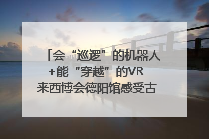 会“巡逻”的机器人+能“穿越”的VR 来西博会德阳馆感受古蜀文明与现代智造的时空对话｜西博视界