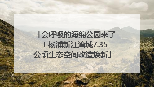 会呼吸的海绵公园来了！杨浦新江湾城7.35公顷生态空间改造焕新