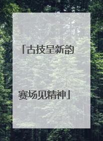 古技呈新韵 赛场见精神