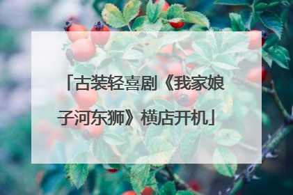 古装轻喜剧《我家娘子河东狮》横店开机