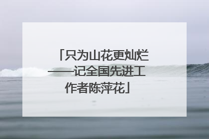 只为山花更灿烂——记全国先进工作者陈萍花