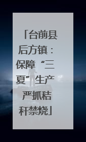 台前县后方镇：保障“三夏”生产 严抓秸秆禁烧