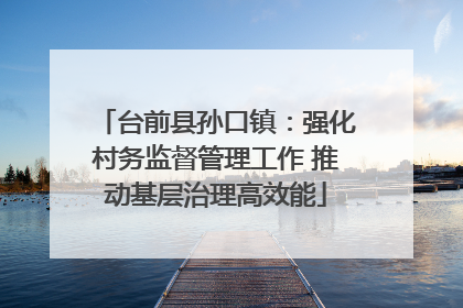 台前县孙口镇：强化村务监督管理工作 推动基层治理高效能