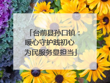 台前县孙口镇：暖心守护践初心 为民服务显担当