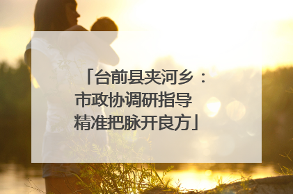 台前县夹河乡：市政协调研指导 精准把脉开良方