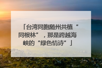 台湾同胞随州共植“同根林”，那是跨越海峡的“绿色情诗”