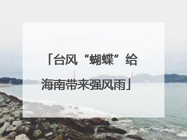 台风“蝴蝶”给海南带来强风雨