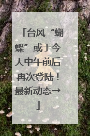 台风“蝴蝶”或于今天中午前后再次登陆！最新动态→
