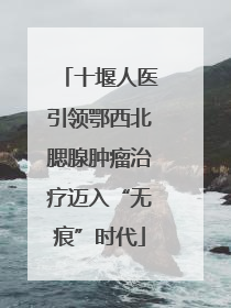 十堰人医引领鄂西北腮腺肿瘤治疗迈入“无痕”时代