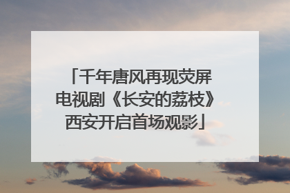 千年唐风再现荧屏 电视剧《长安的荔枝》西安开启首场观影