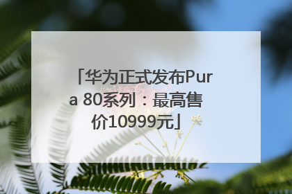 华为正式发布Pura 80系列：最高售价10999元