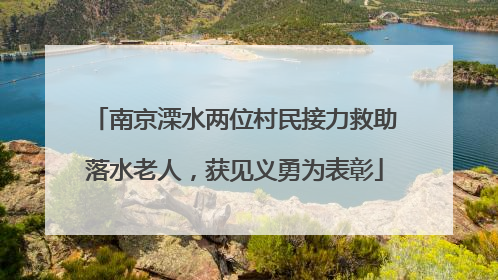 南京溧水两位村民接力救助落水老人，获见义勇为表彰