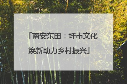 南安东田：圩市文化焕新助力乡村振兴