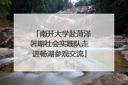 南开大学赴菏泽暑期社会实践队走进杨湖参观交流