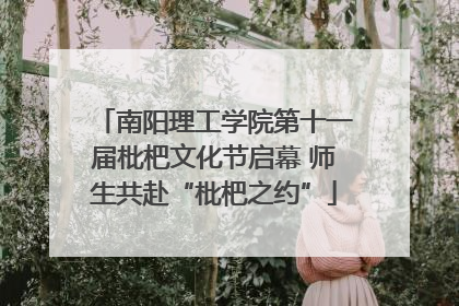 南阳理工学院第十一届枇杷文化节启幕 师生共赴“枇杷之约”