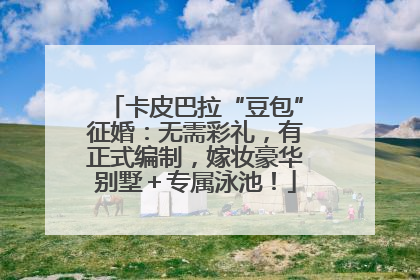卡皮巴拉“豆包”征婚：无需彩礼，有正式编制，嫁妆豪华别墅＋专属泳池！
