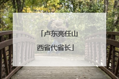 卢东亮任山西省代省长