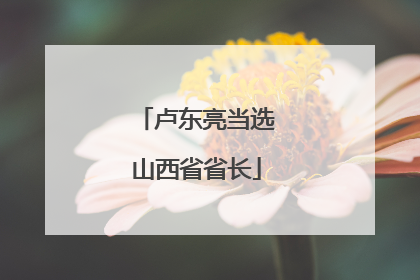 卢东亮当选山西省省长