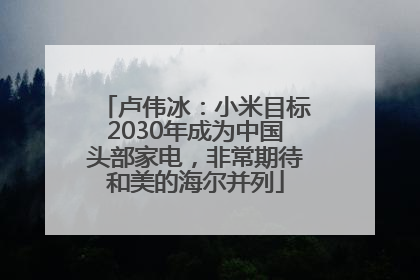 卢伟冰：小米目标2030年成为中国头部家电，非常期待和美的海尔并列