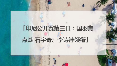 印尼公开赛第三日：国羽焦点战 石宇奇、李诗沣领衔