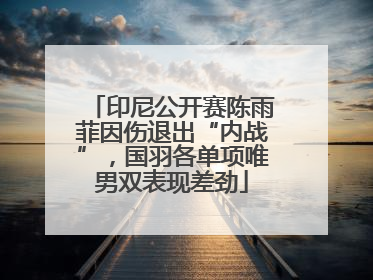 印尼公开赛陈雨菲因伤退出“内战”，国羽各单项唯男双表现差劲