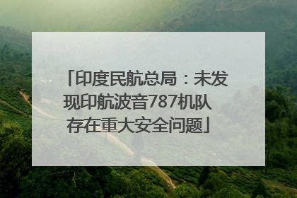 印度民航总局：未发现印航波音787机队存在重大安全问题