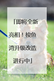 即将全新亮相！梭鱼湾升级改造进行中
