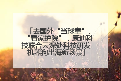 去国外“当球童”、“看家护院”，康迪科技联合云深处科技研发机器狗出海新场景