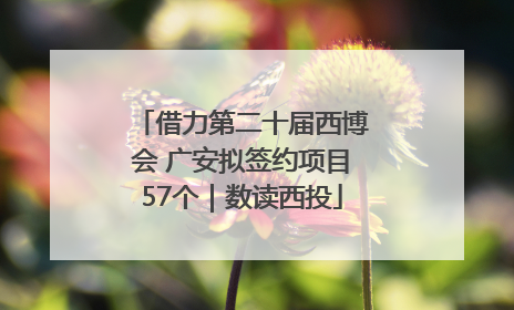 借力第二十届西博会 广安拟签约项目57个｜数读西投