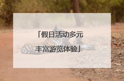 假日活动多元 丰富游览体验