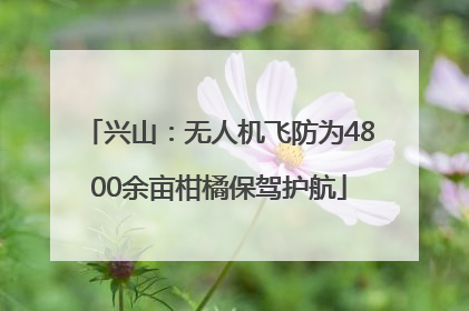 兴山：无人机飞防为4800余亩柑橘保驾护航
