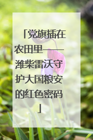 党旗插在农田里——潍柴雷沃守护大国粮安的红色密码