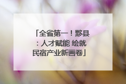 全省第一！黟县：人才赋能 绘就民宿产业新画卷