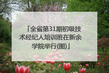 全省第31期初级技术经纪人培训班在新余学院举行(图)