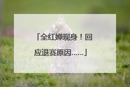 全红婵现身！回应退赛原因……