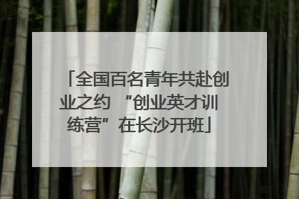 全国百名青年共赴创业之约 “创业英才训练营”在长沙开班
