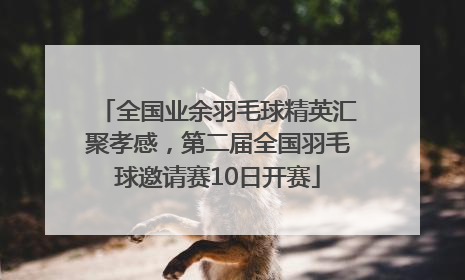全国业余羽毛球精英汇聚孝感，第二届全国羽毛球邀请赛10日开赛