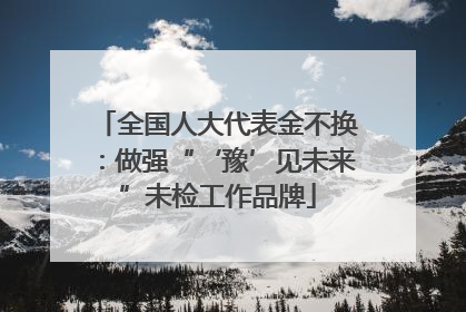 全国人大代表金不换：做强“‘豫’见未来”未检工作品牌