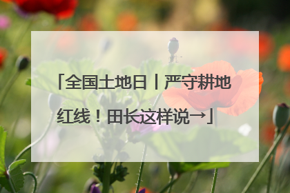 全国土地日丨严守耕地红线！田长这样说→