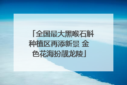 全国最大黑喉石斛种植区再添新景 金色花海扮靓龙陵