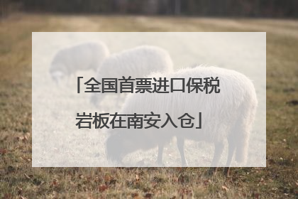 全国首票进口保税岩板在南安入仓