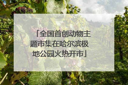全国首创动物主题市集在哈尔滨极地公园火热开市