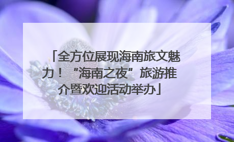 全方位展现海南旅文魅力！“海南之夜”旅游推介暨欢迎活动举办
