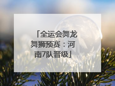 全运会舞龙舞狮预赛：河南7队晋级