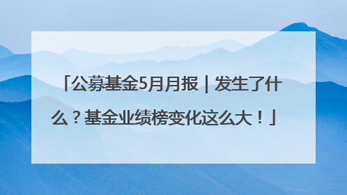 公募基金5月月报｜发生了什么？基金业绩榜变化这么大！