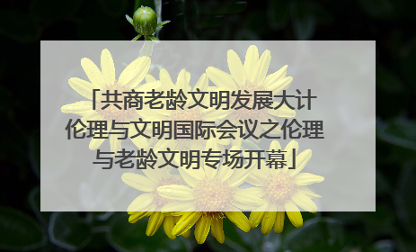 共商老龄文明发展大计 伦理与文明国际会议之伦理与老龄文明专场开幕